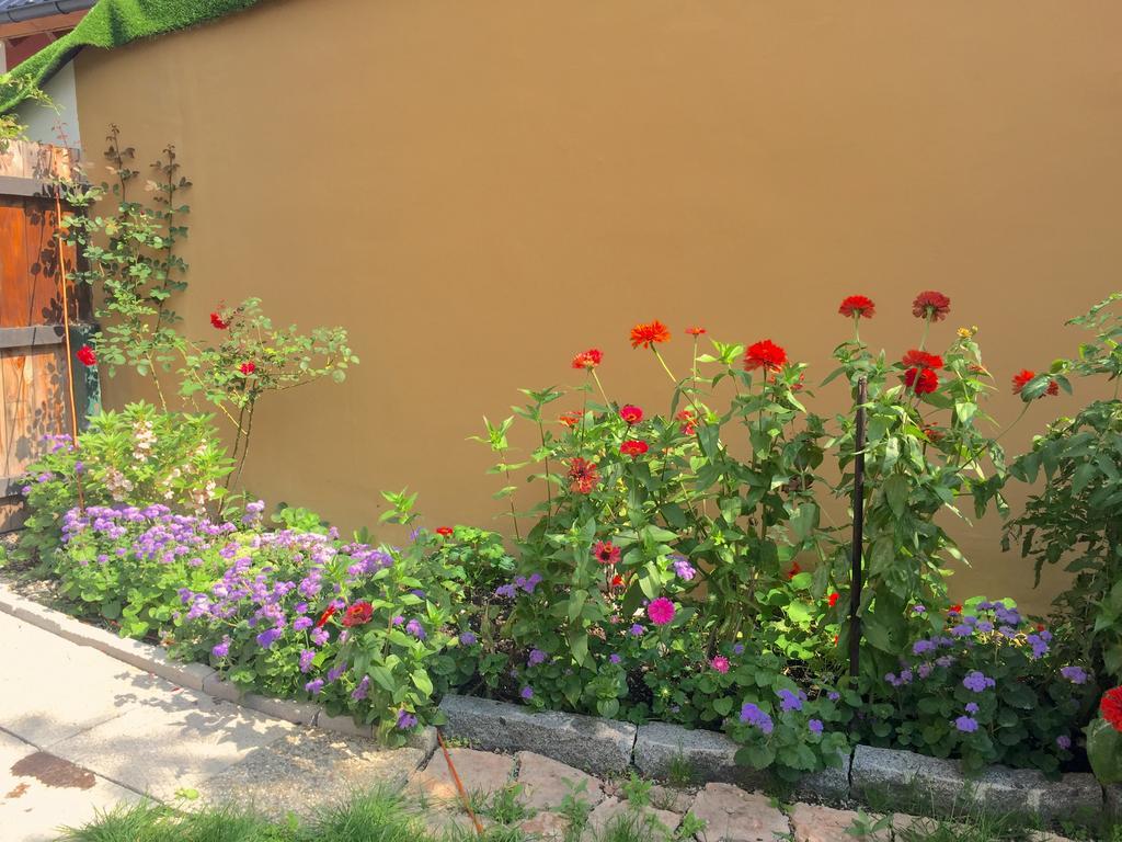 Book-A-Room Salzburg Apartment 5-6-7-8 Екстериор снимка